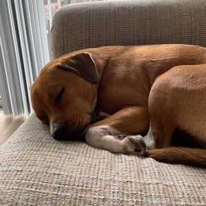 Meet your Posher, Danielle